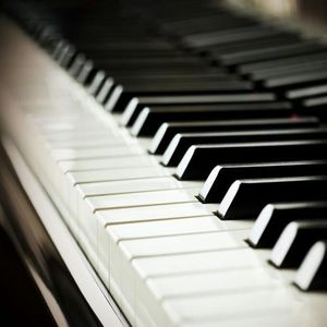 老骚逼求操视频
