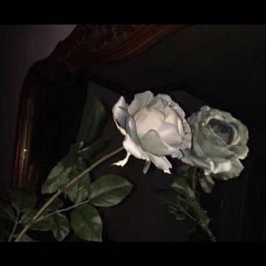 老骚逼求操视频
