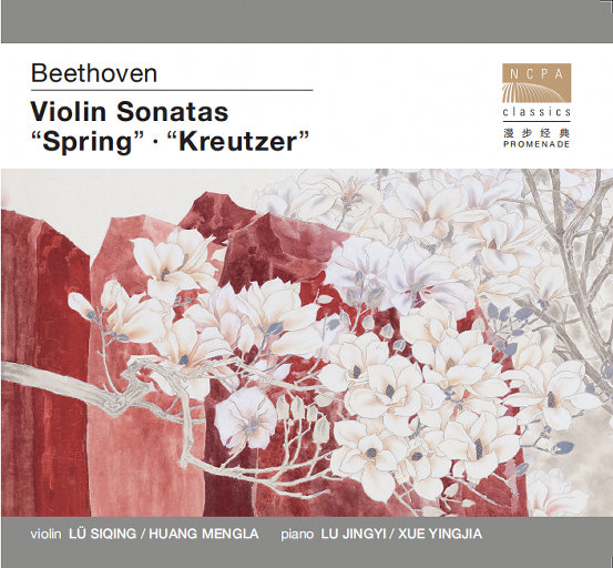 老骚逼求操视频
